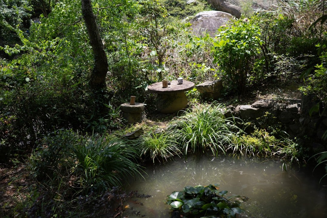 Lok Ma Chau Garden