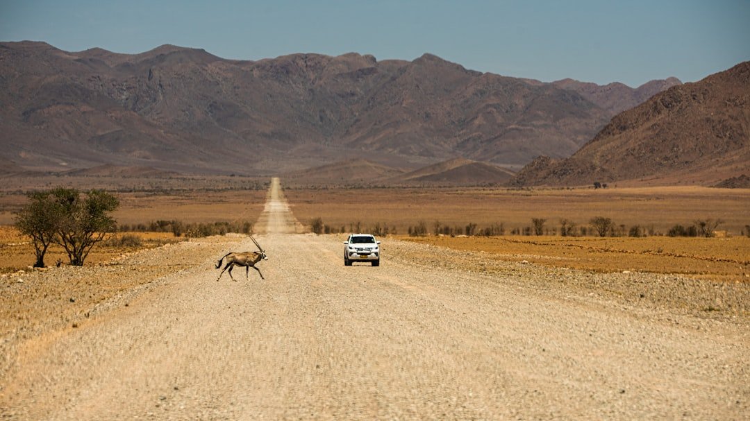 Dorob National Park