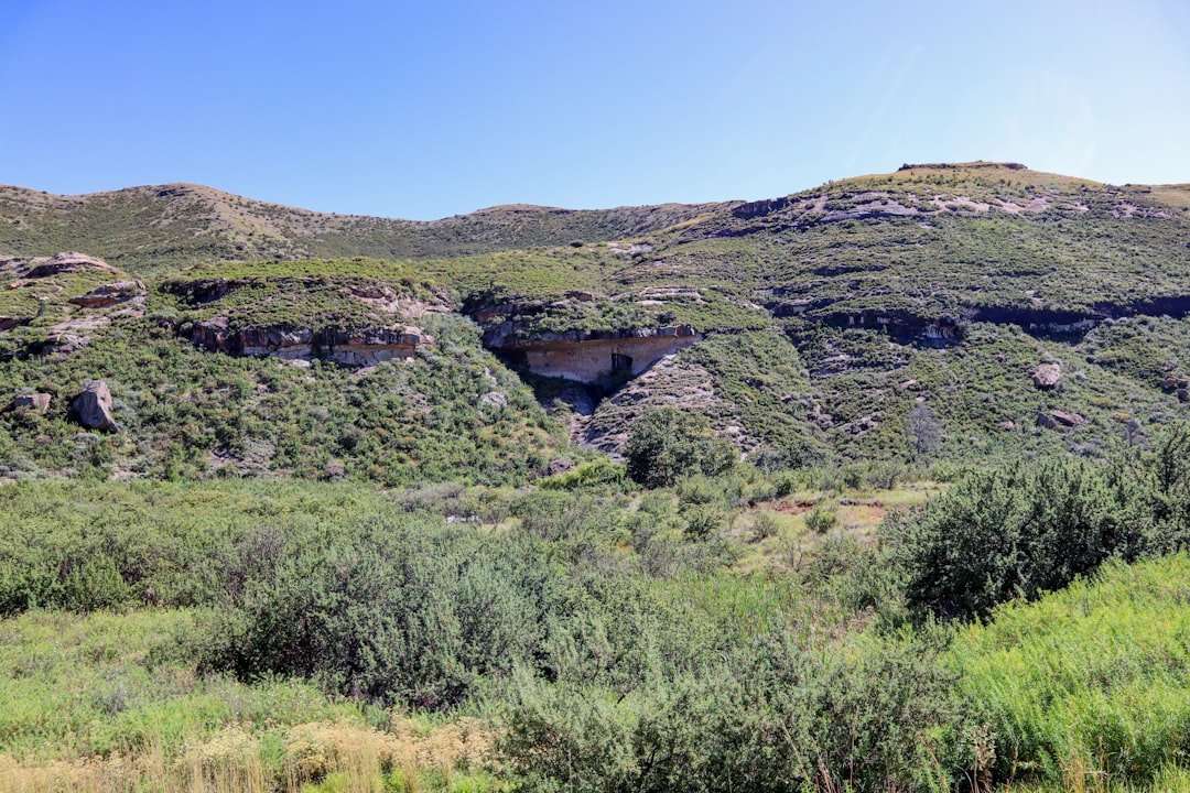 Bats Cave