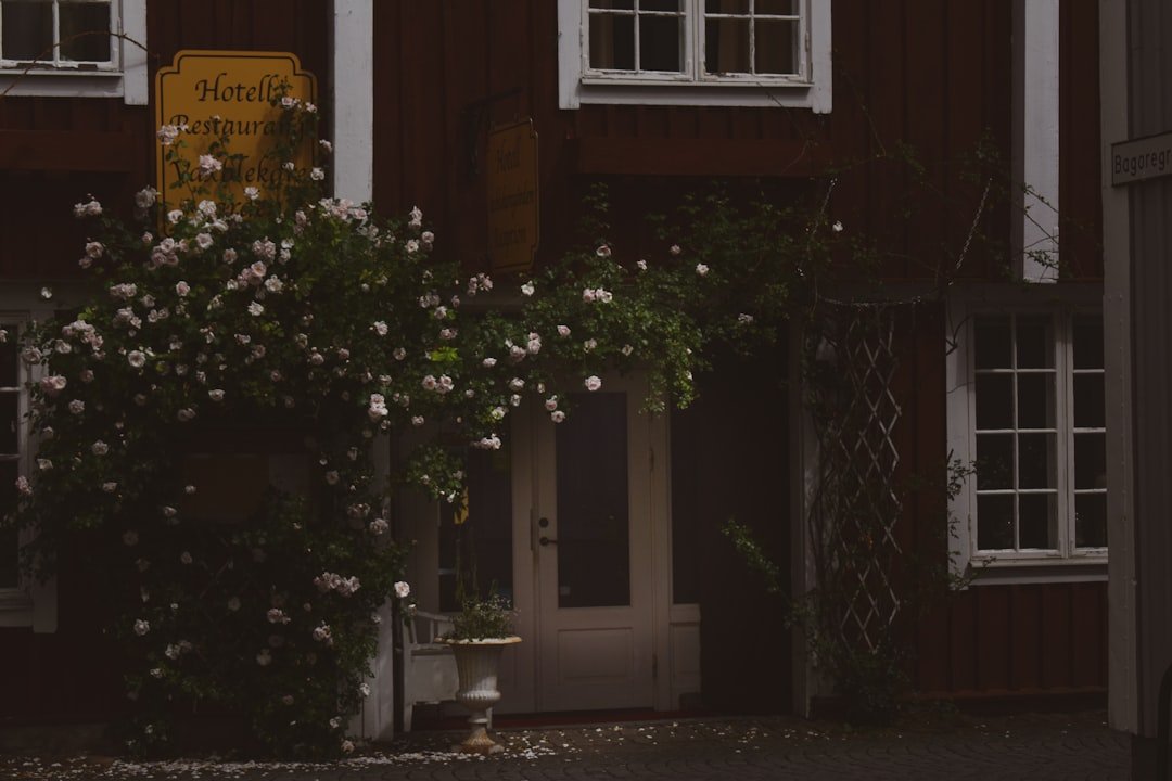 Nässeforsen