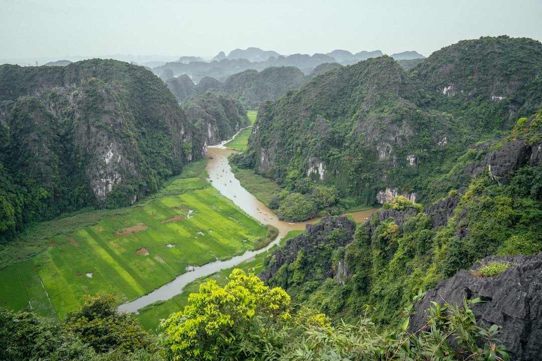 Bãi Đại