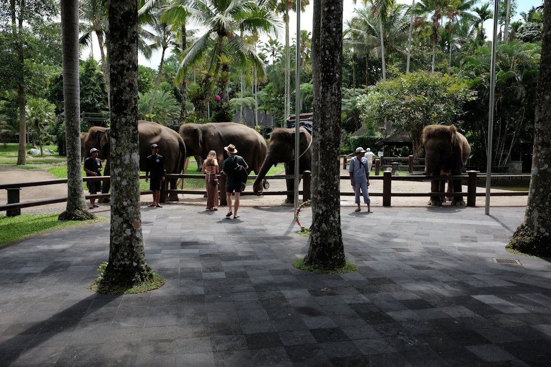 Sarik-Gajah
