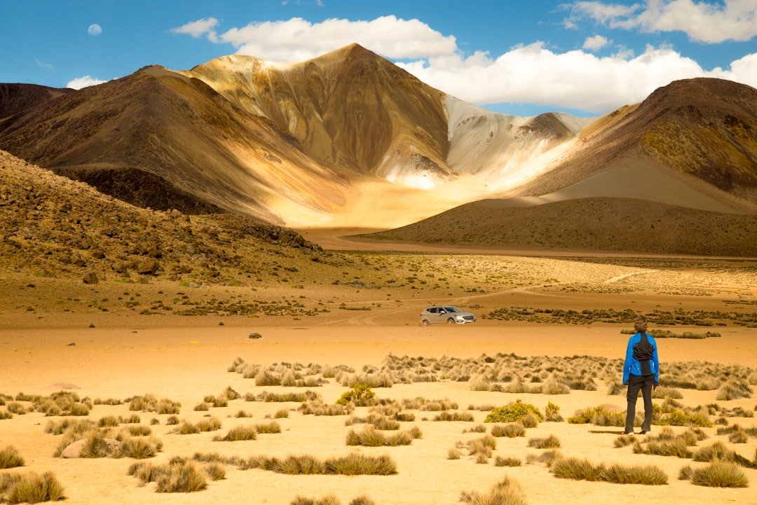 Lauca
