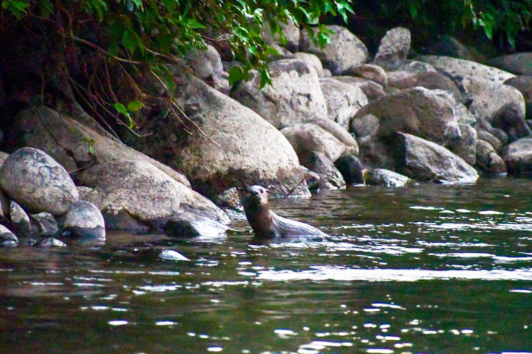 Río Abiseo National Park