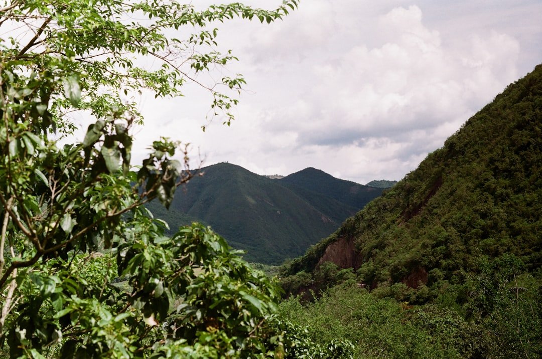 Alto Culebra