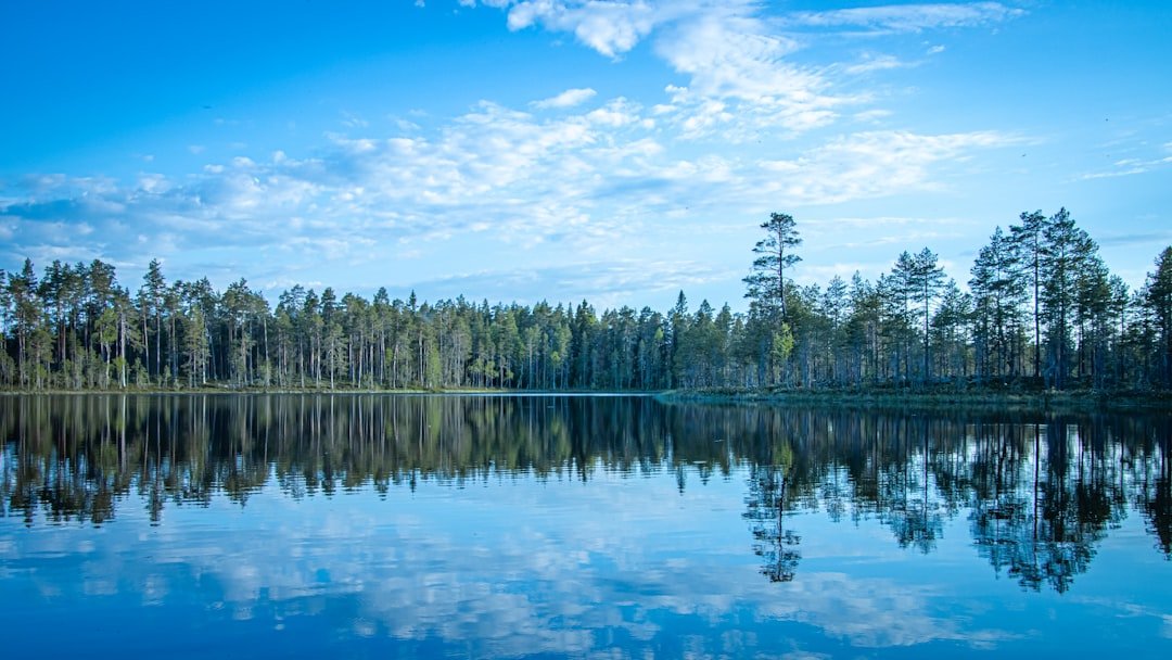 Pyhä-Luosto National Park