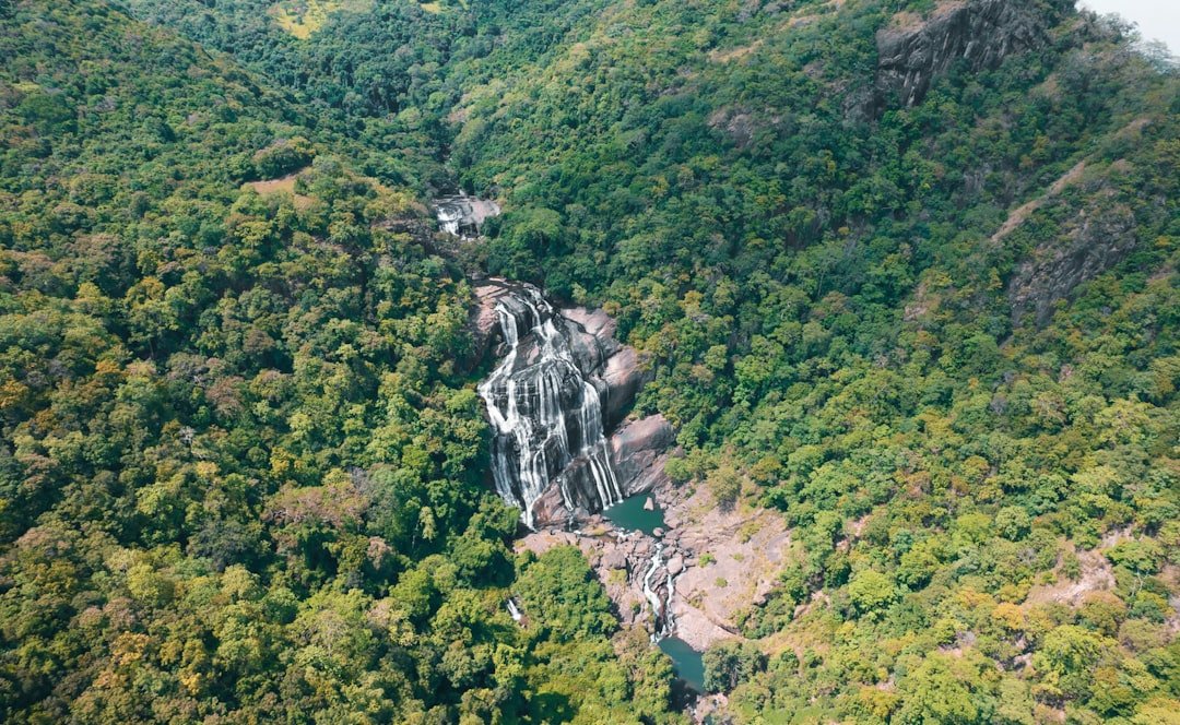 Geommujeongyaksupokpo