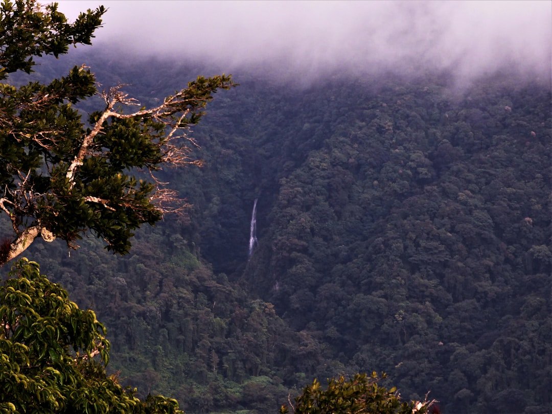 Juan Castro Blanco National Park