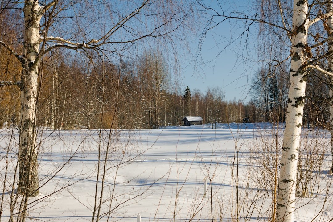 Leikshakoaddioaivi