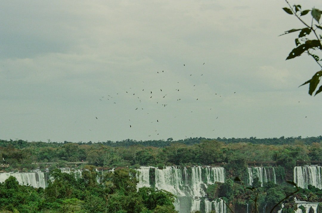 Cachoeira Auari