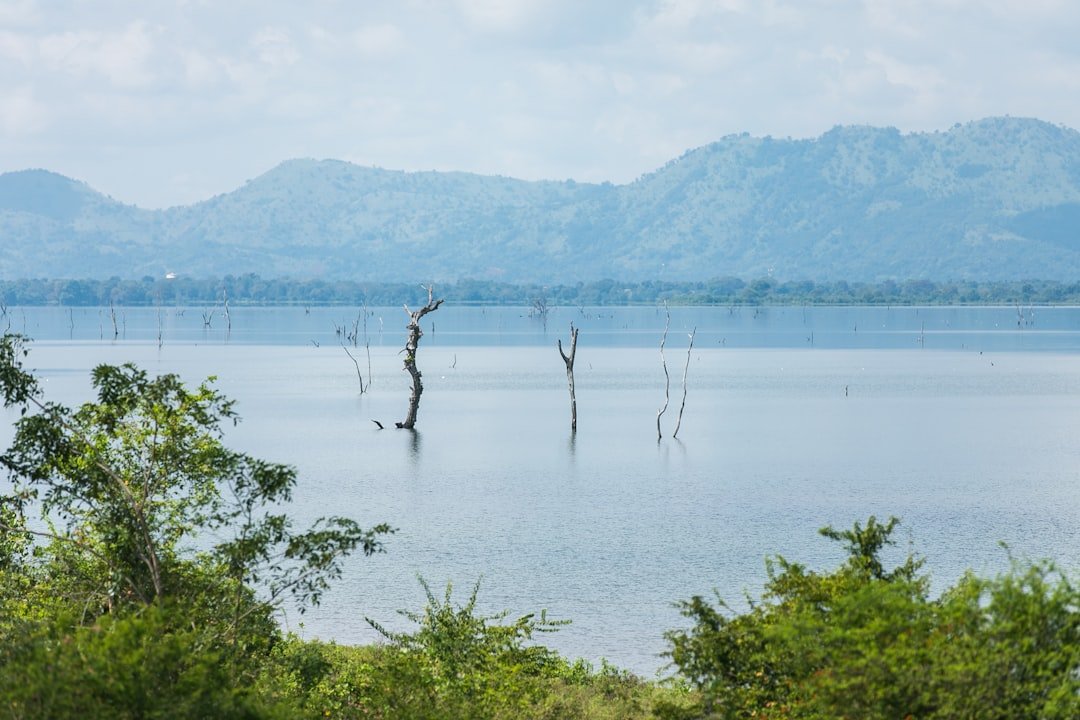 Lake Balangida