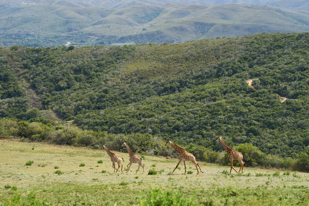 Setonaikai National Park