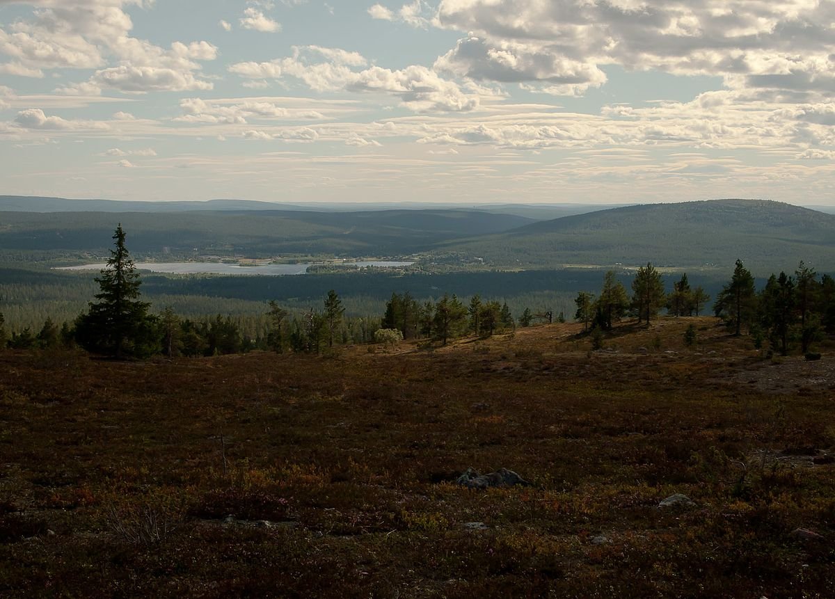 Kukastunturi