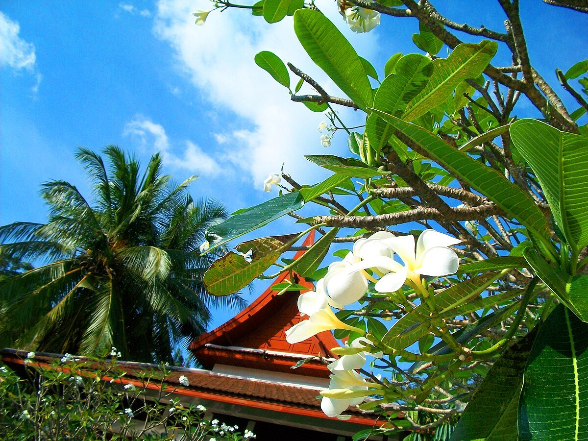 Pansea Beach