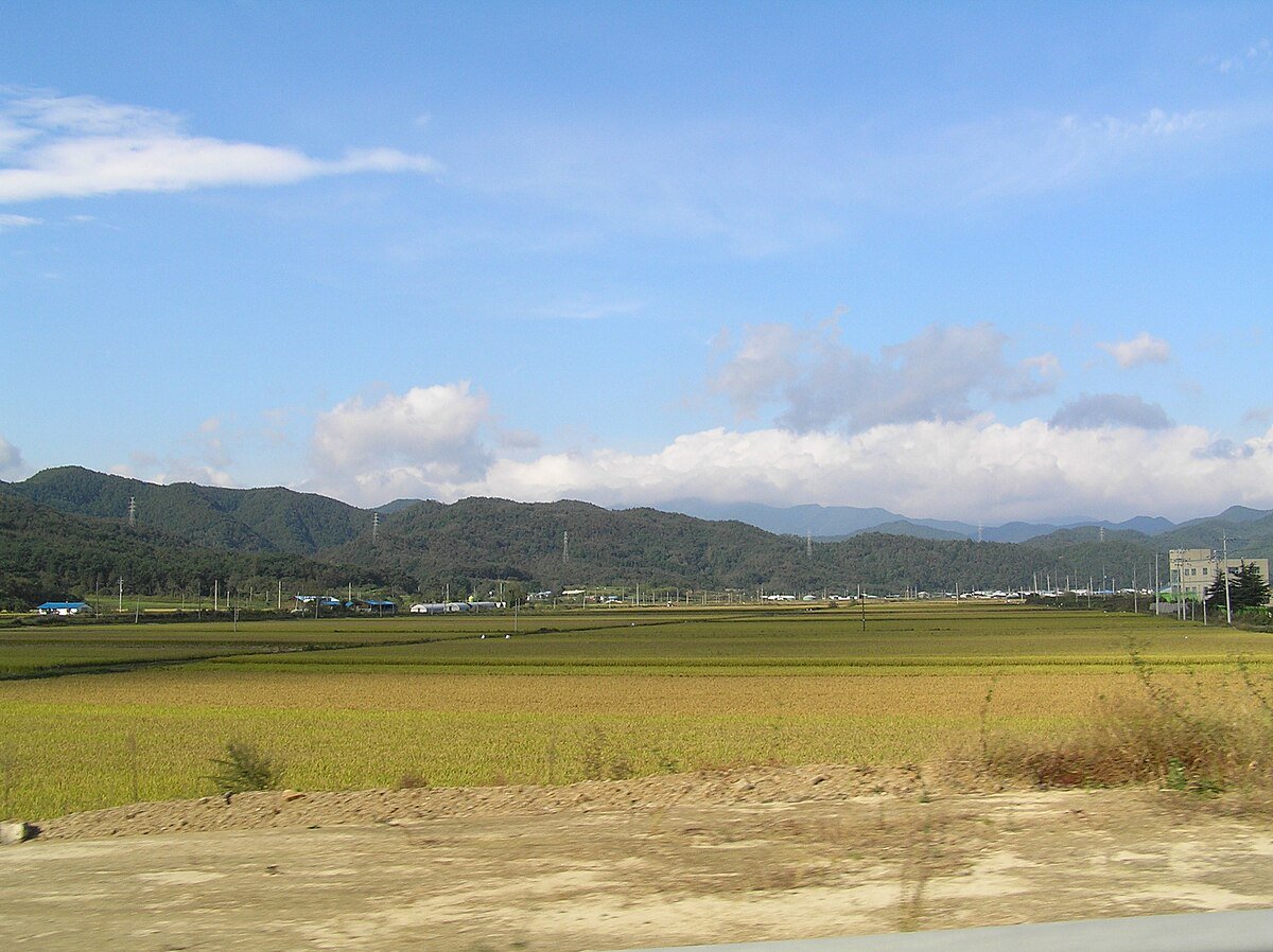 Myogok-chŏsuji