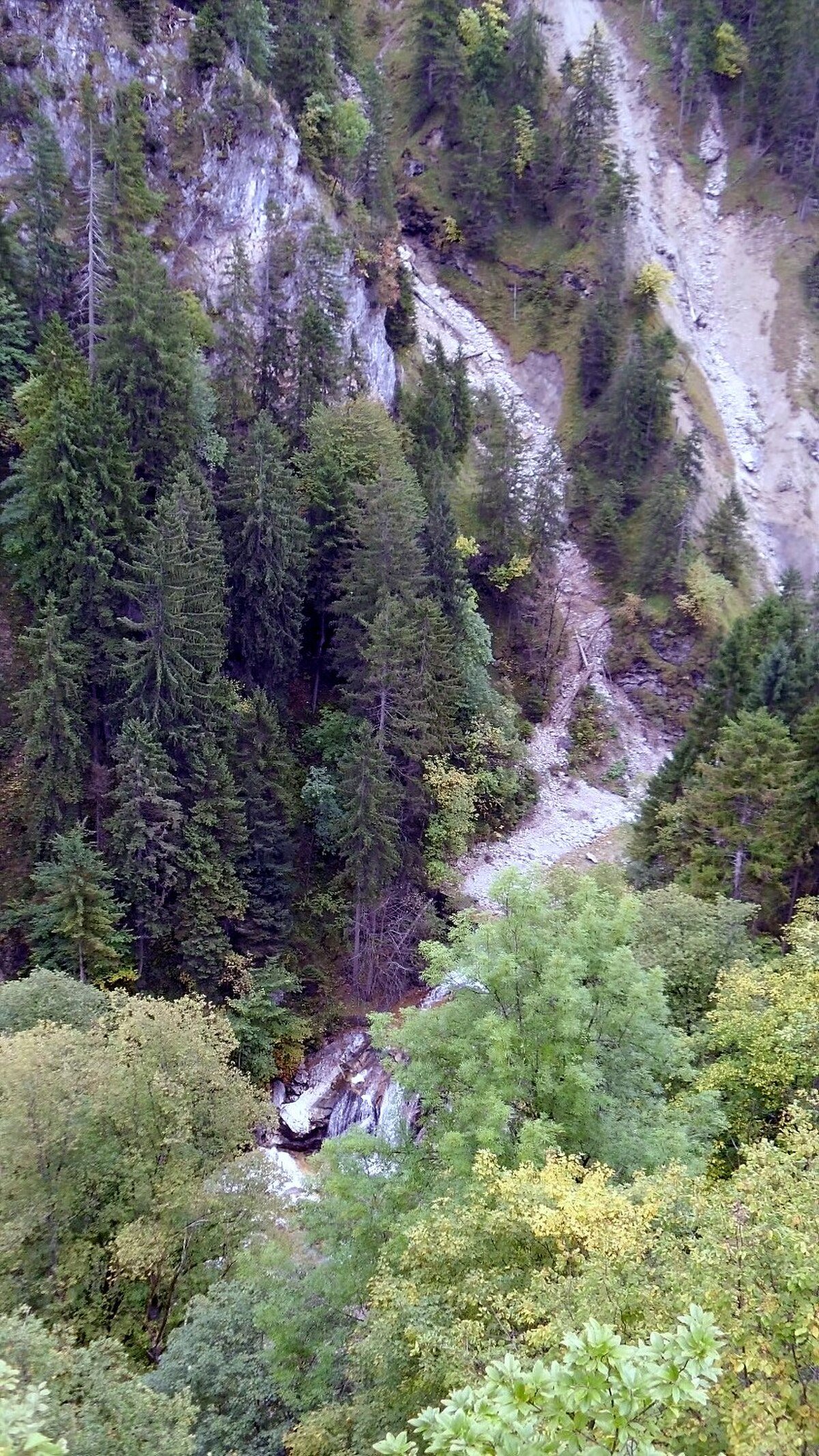 Profil in der Pöllat-Schlucht E von Hohenschwangau