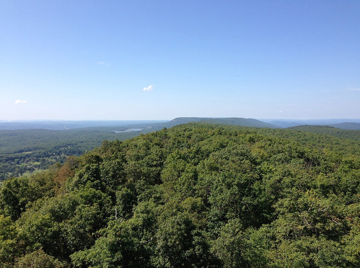 Catfish Fire Tower