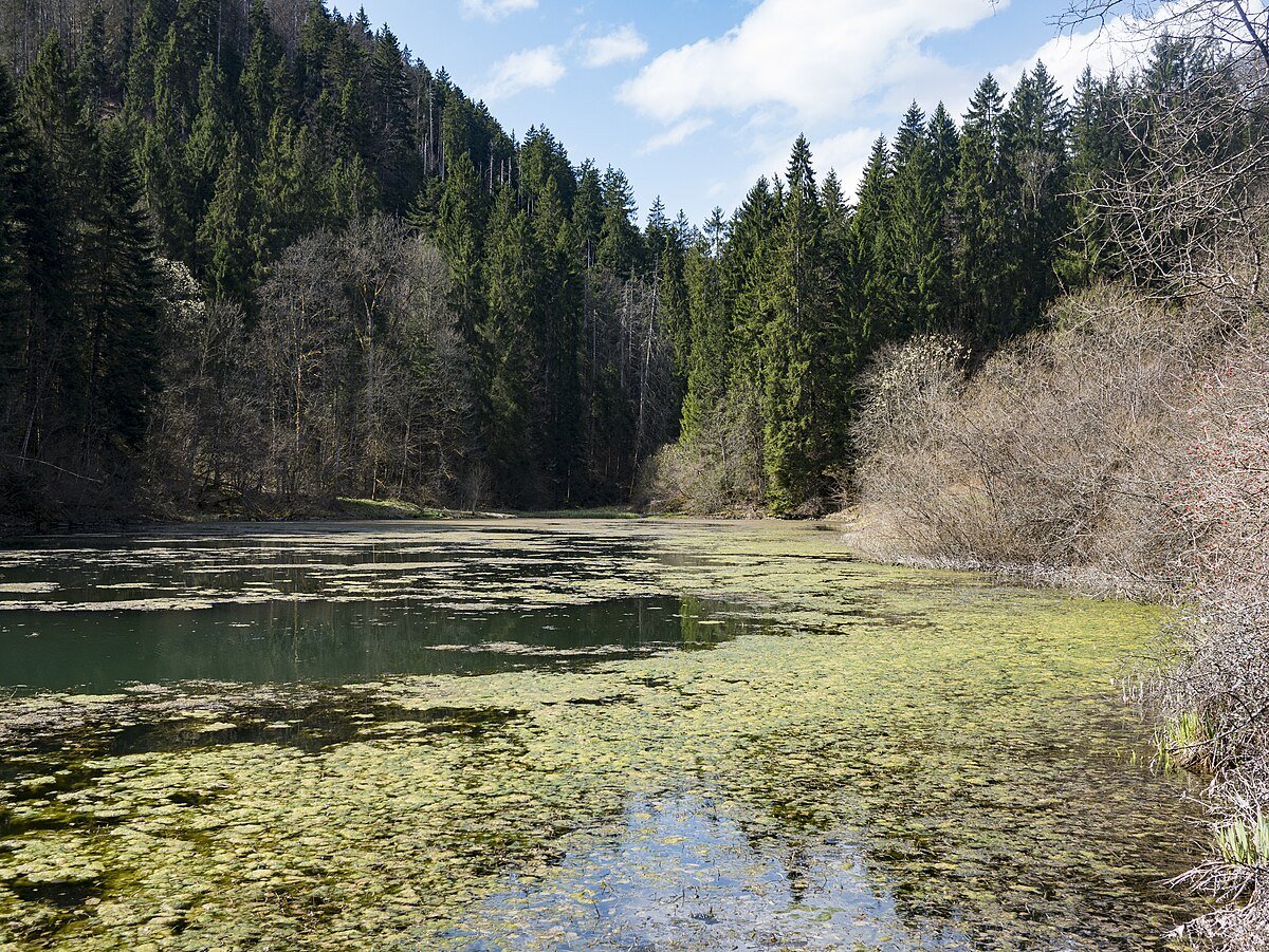 Etang de Bollement