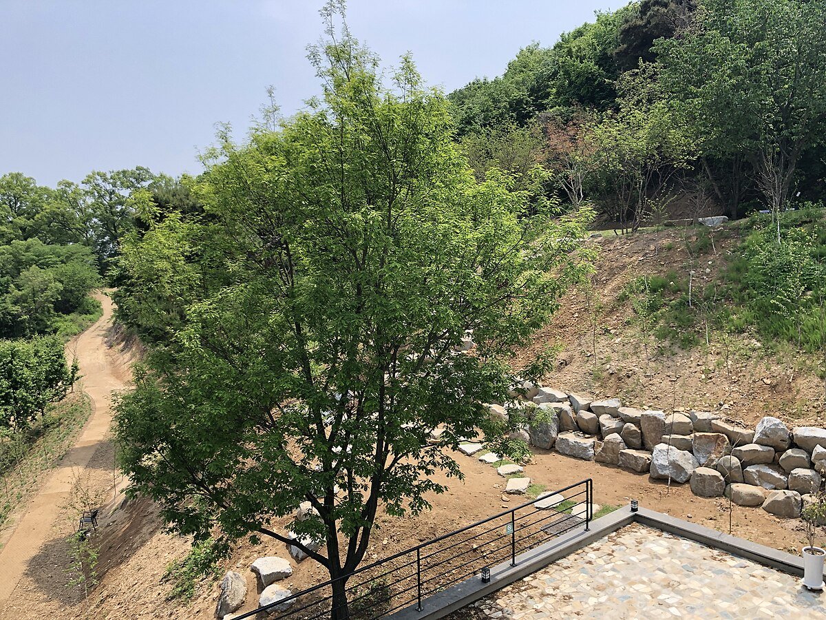 Sinp'yŏng-jŏsuji