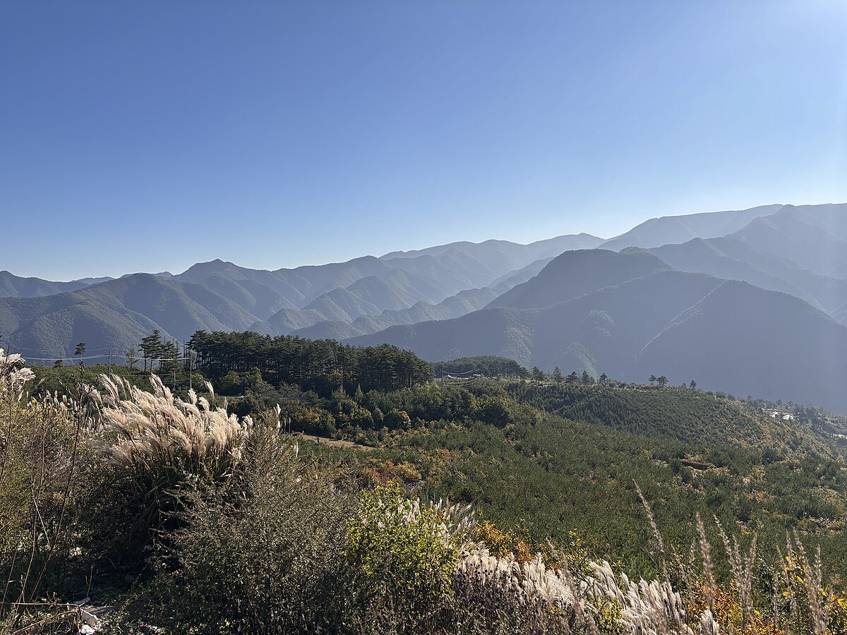 Palli-gul
