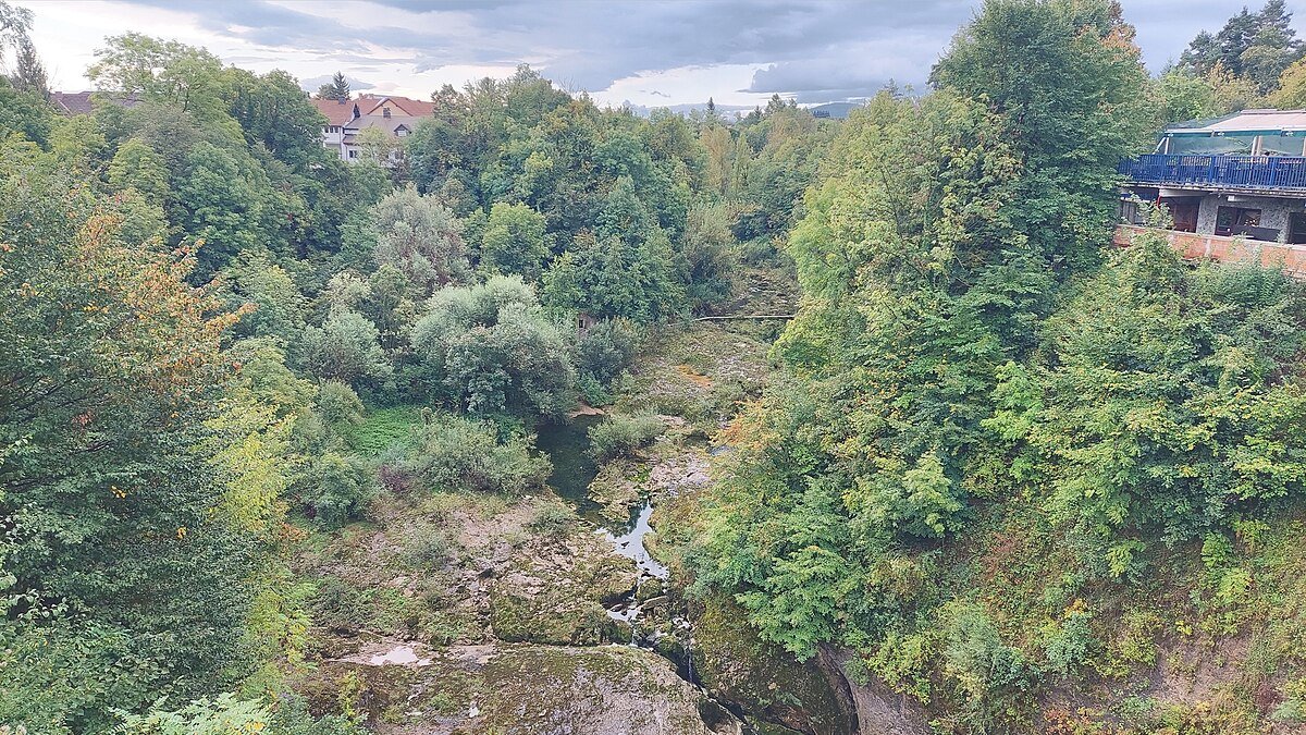 Bukovnik