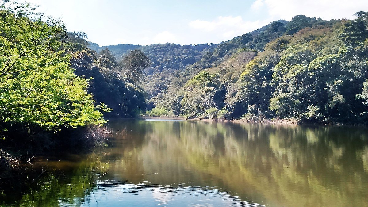 Colina do Presunto