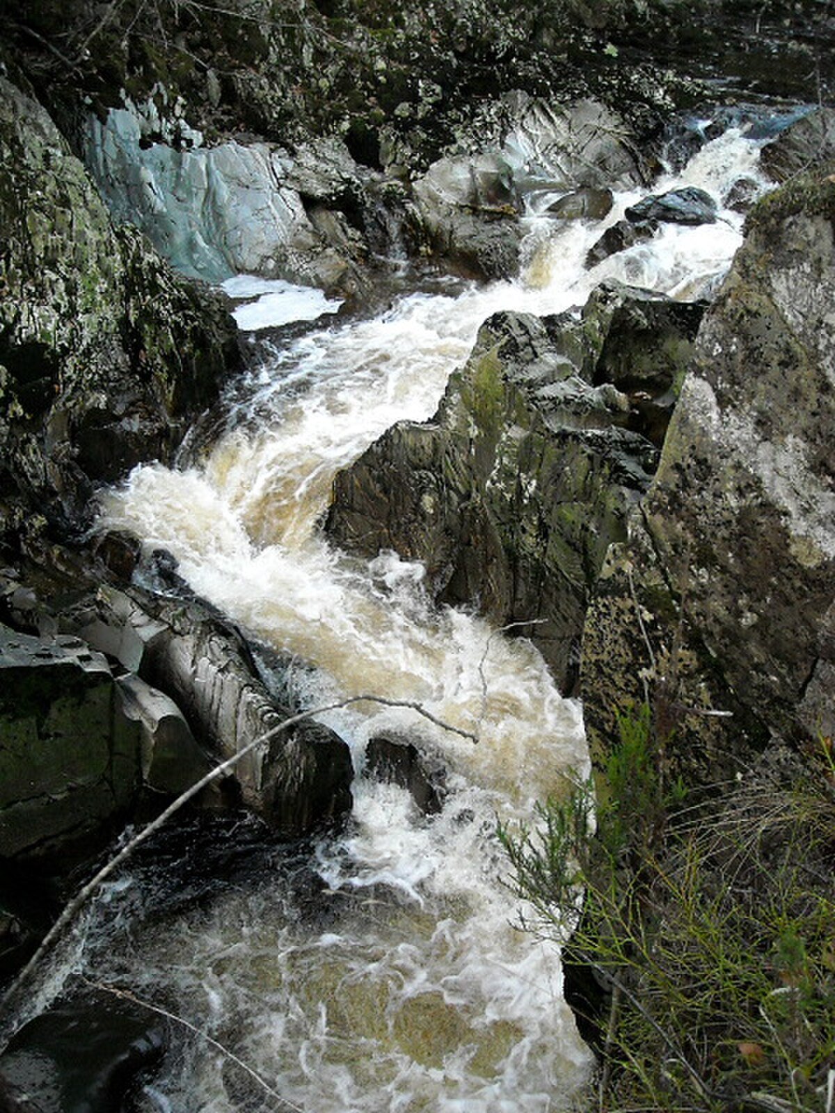 Black Linn of Blairvaich