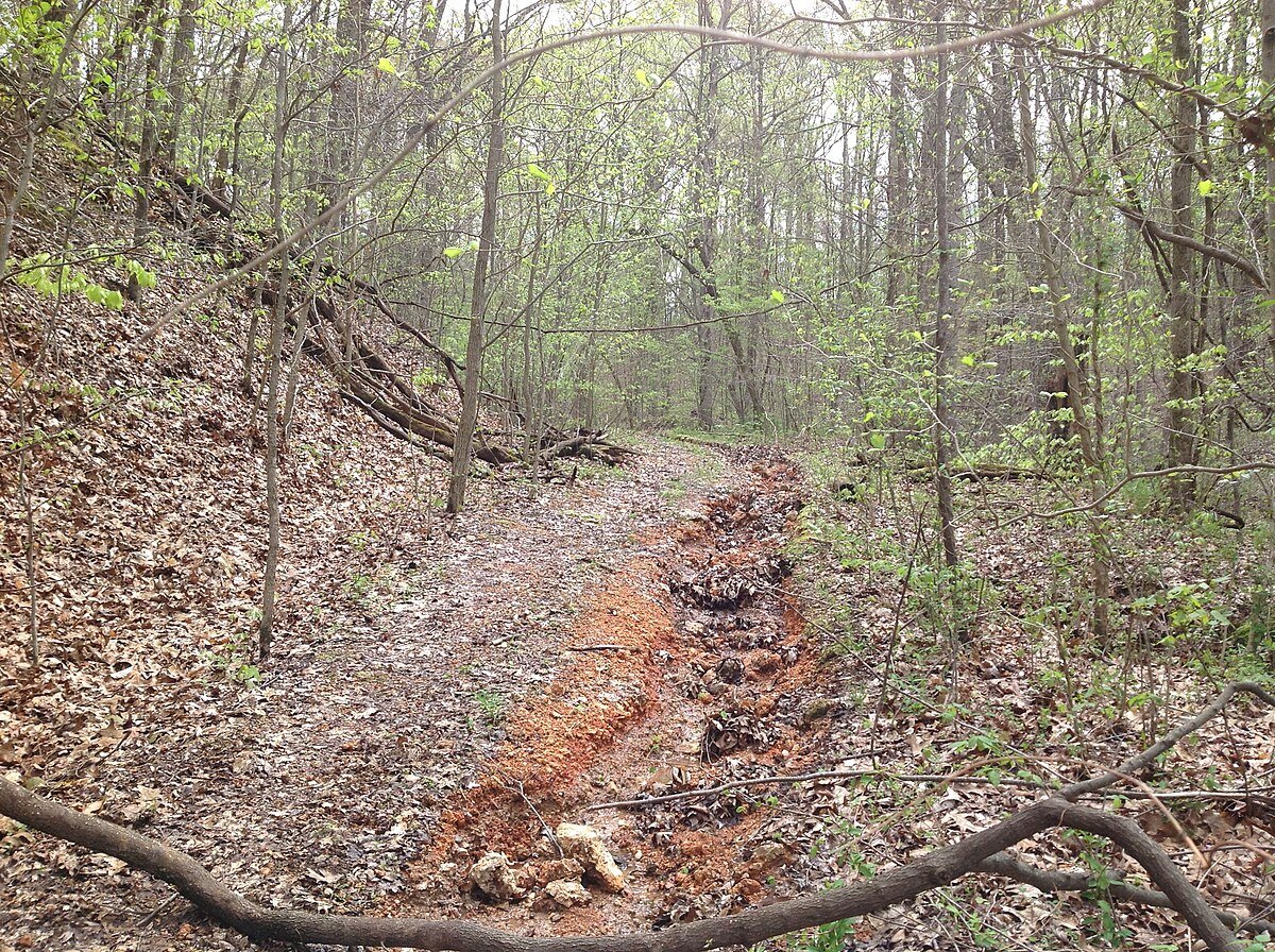 Atwood Lookout Tower