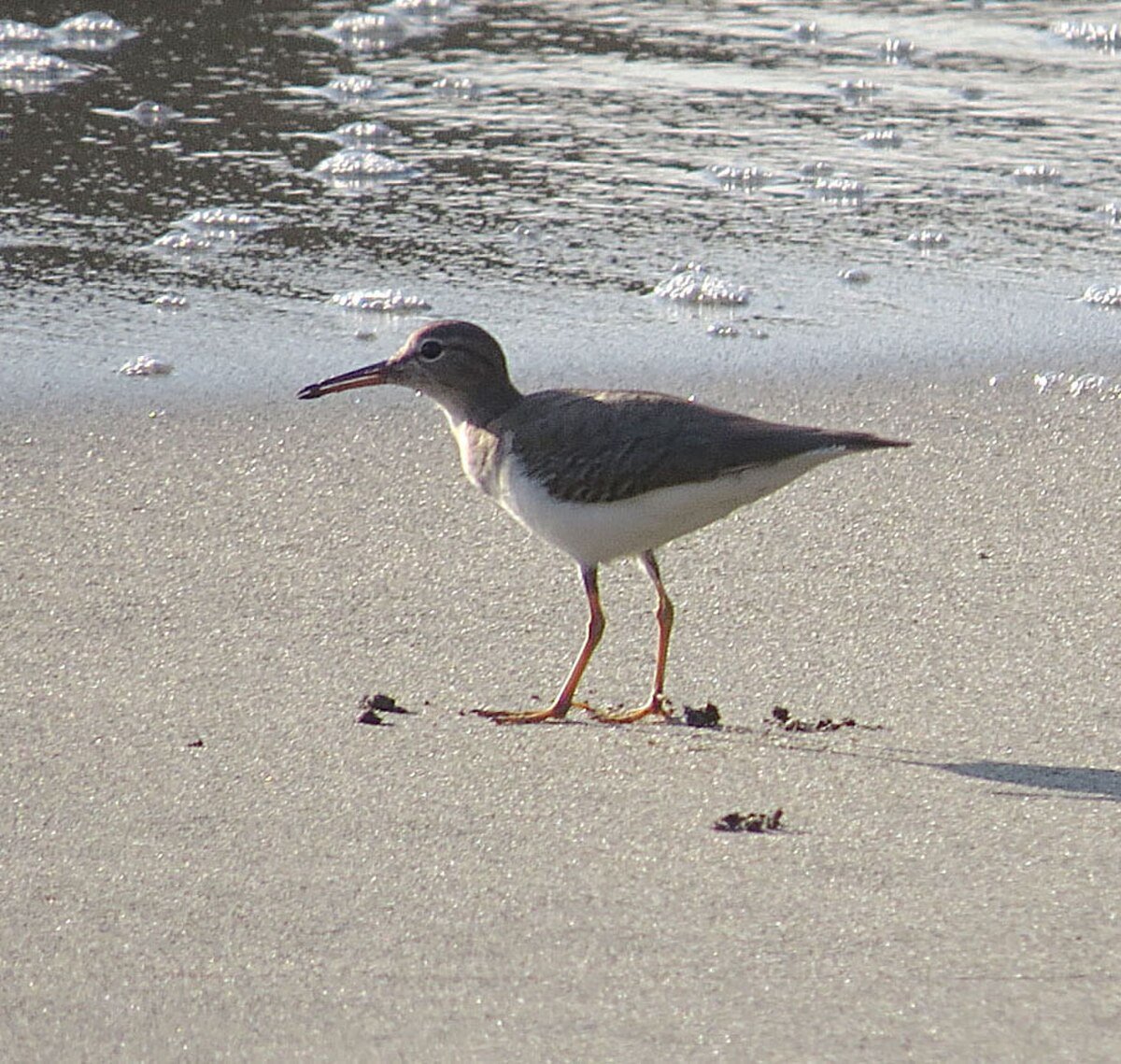 Playa La Bocana