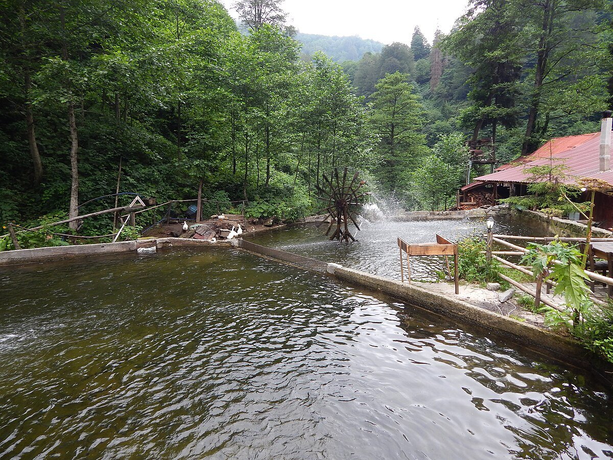 Bebedes Falls