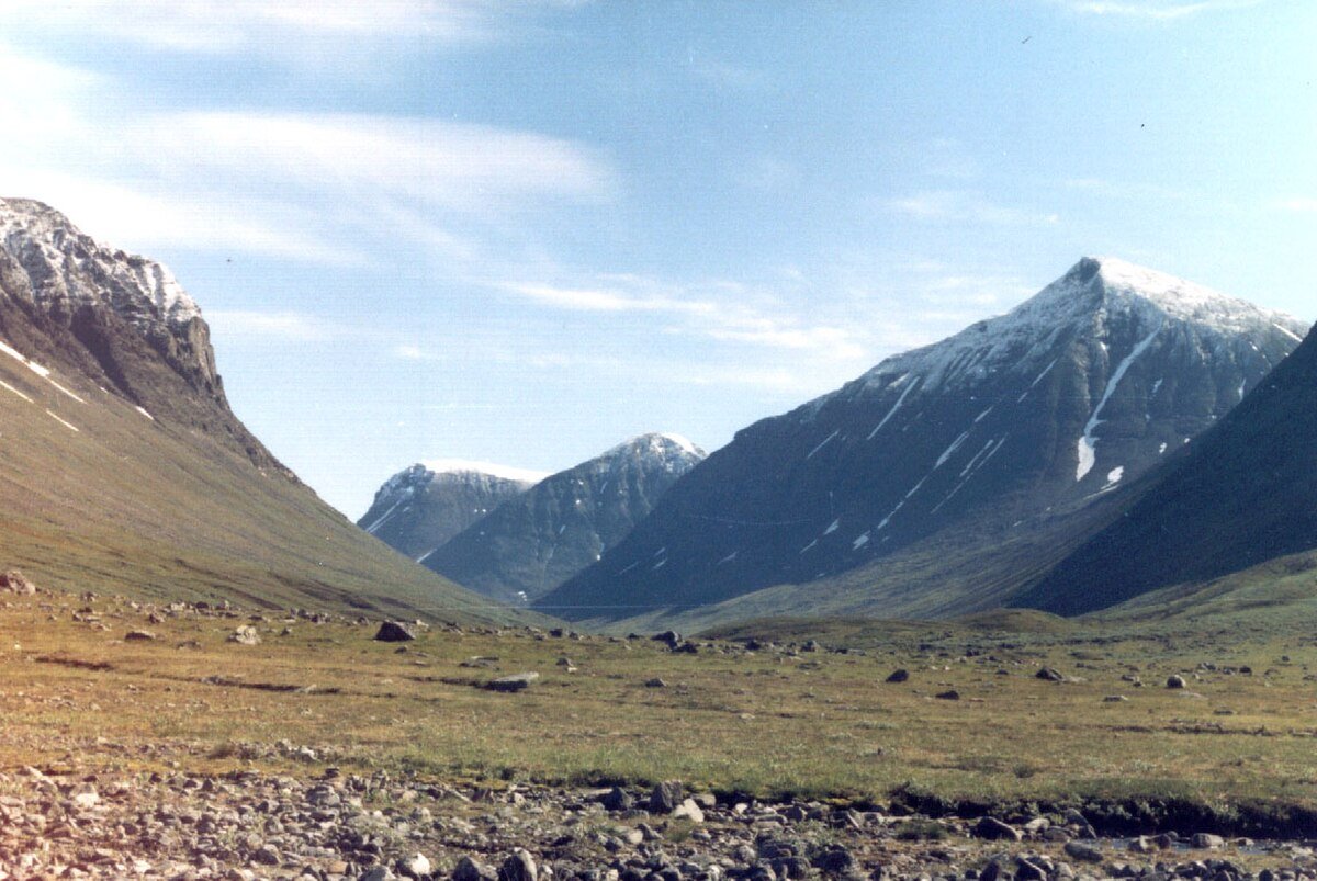 Alkavare