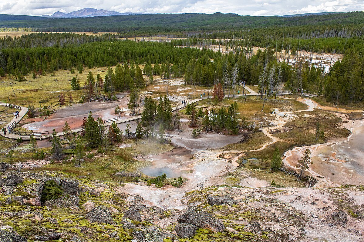 Blood Geyser