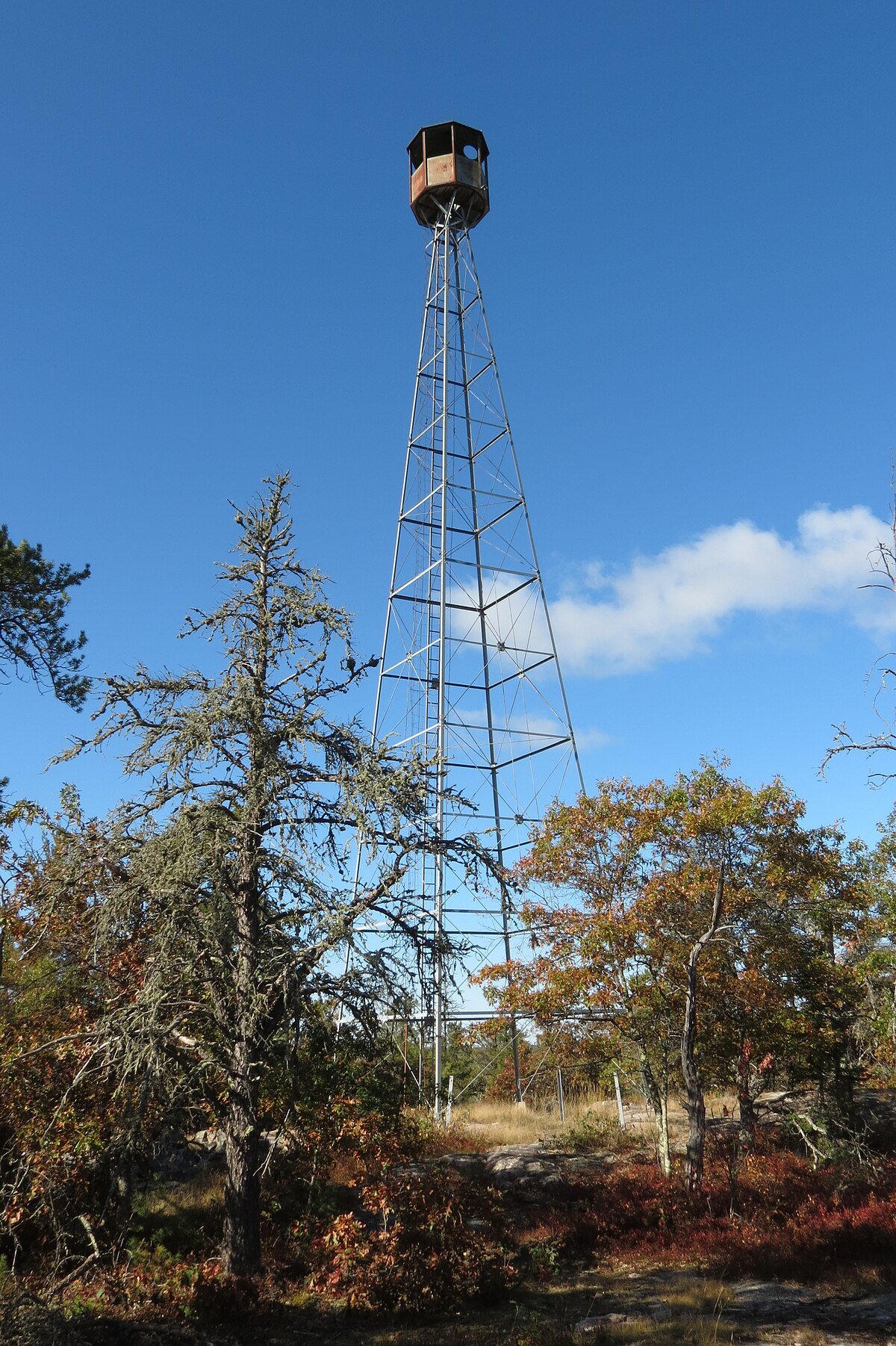 Ash River Lookout Tower