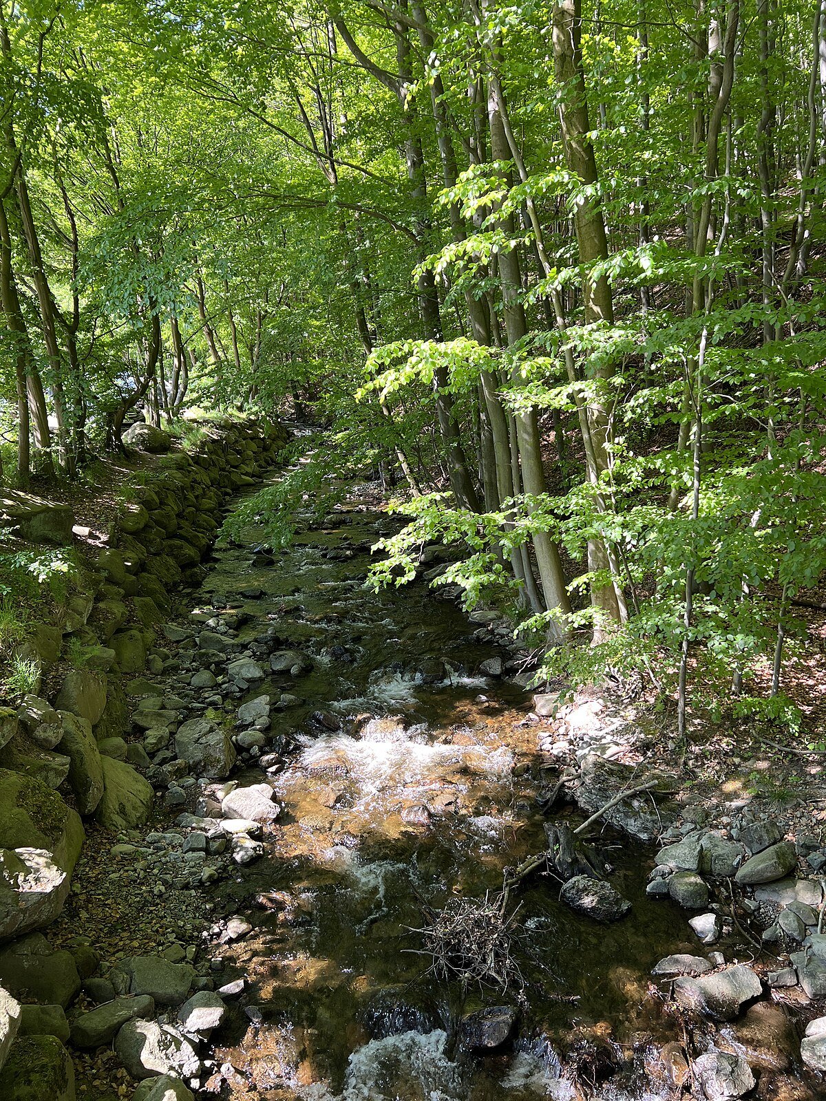 Radaufall