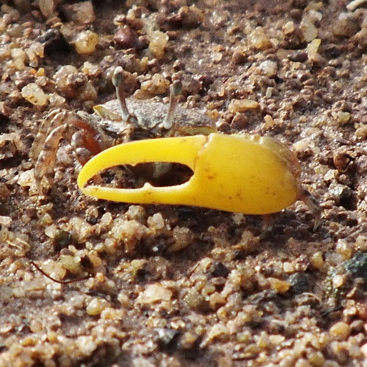 Birritjimi Beach