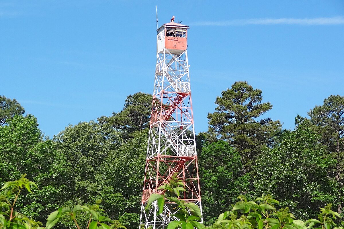 Bass River Fire Tower