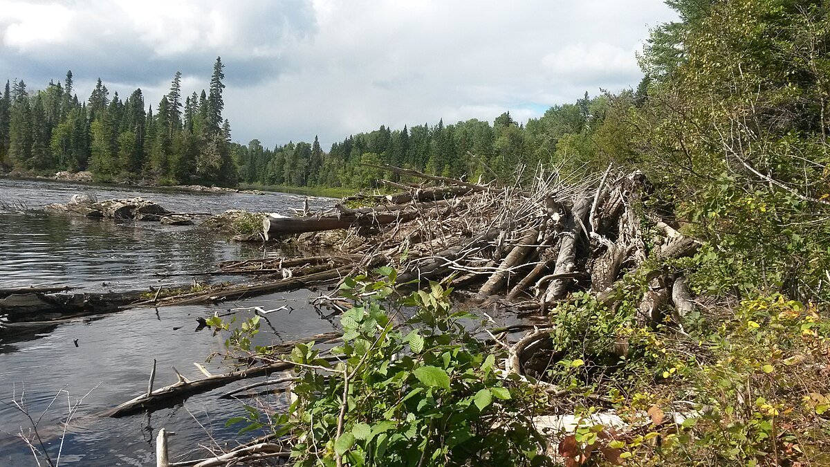 Bakatase Falls