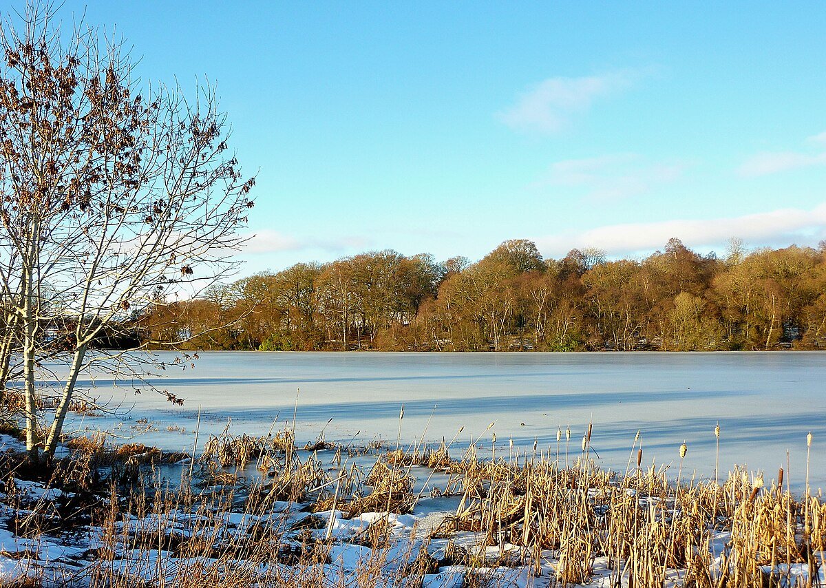 Bertha Loch