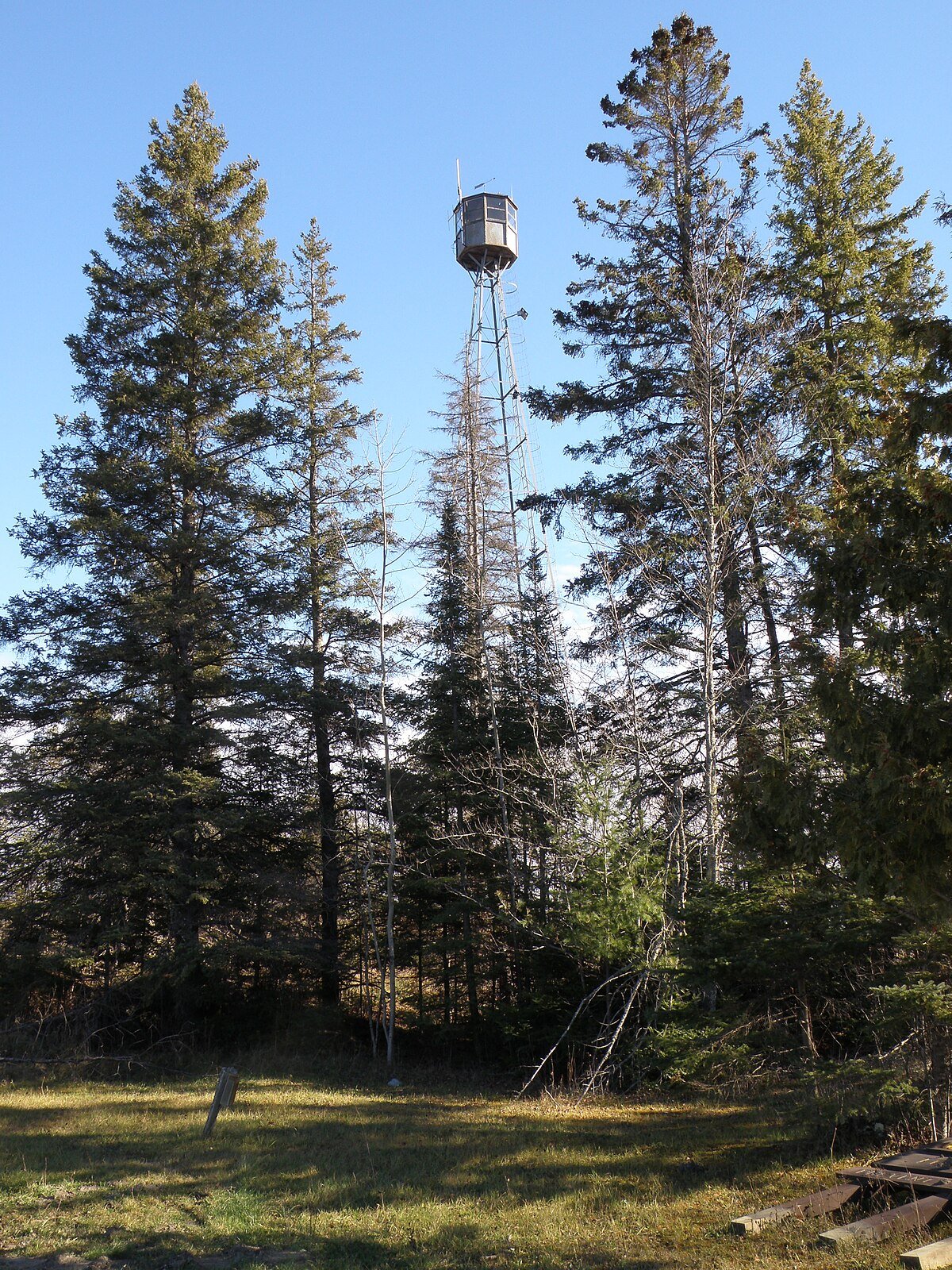 Birchdale Lookout Tower