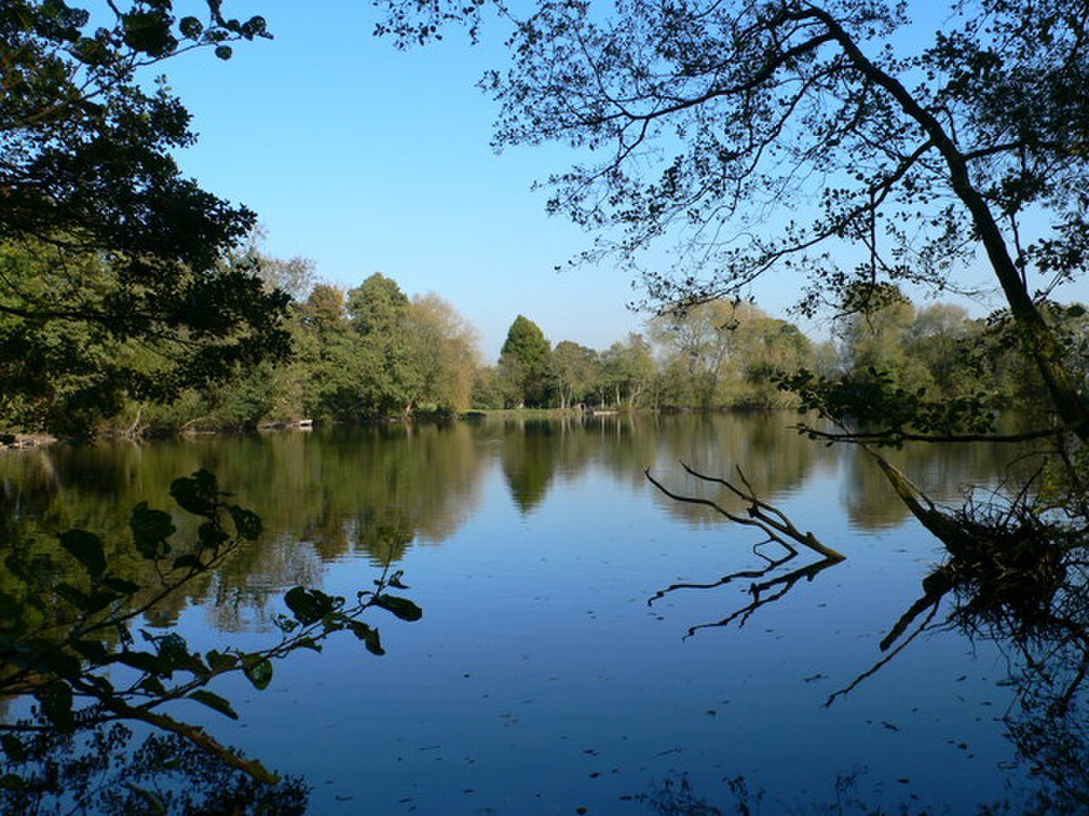 Birchgrove Pool