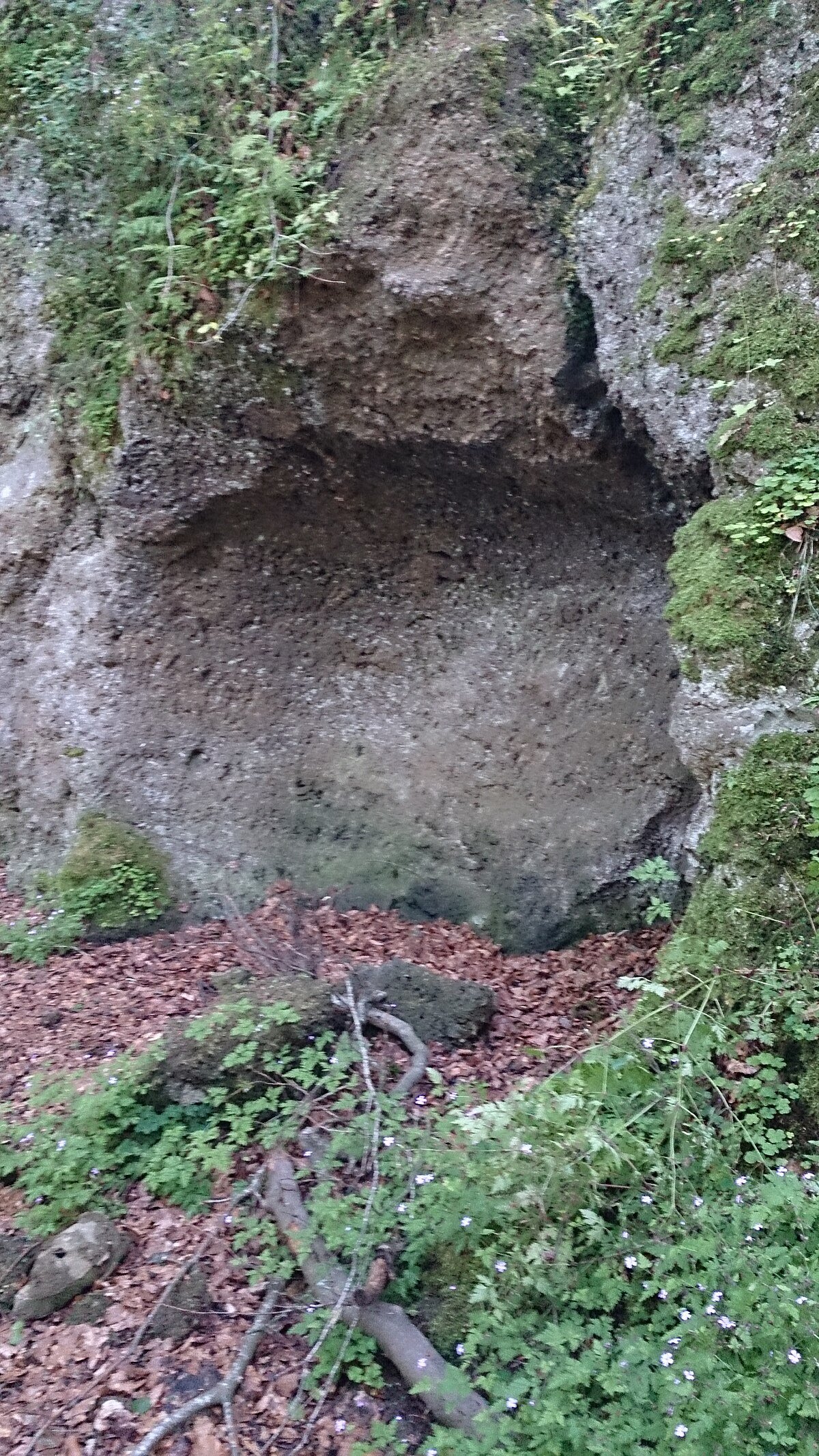 Birresborn ice caves