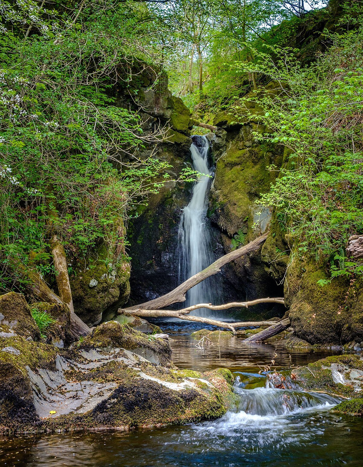 Black Spout