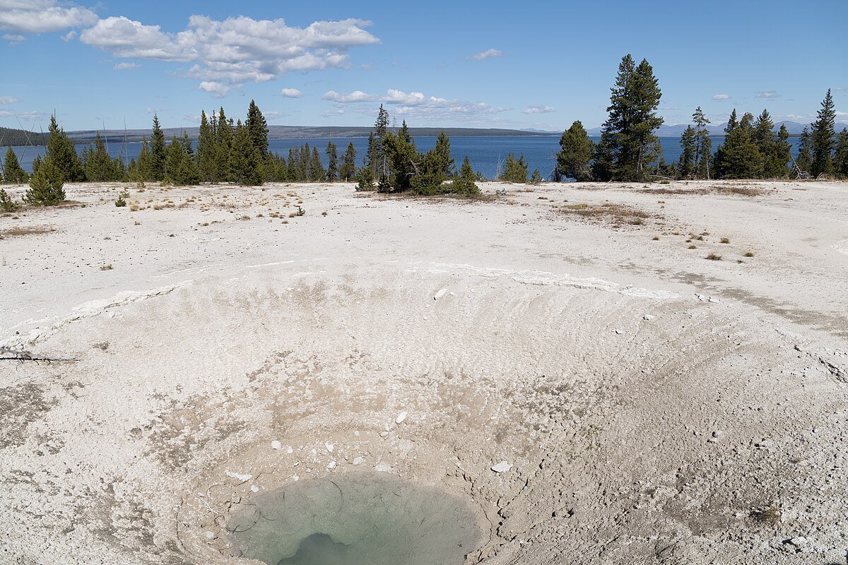 Blue Funnel Spring