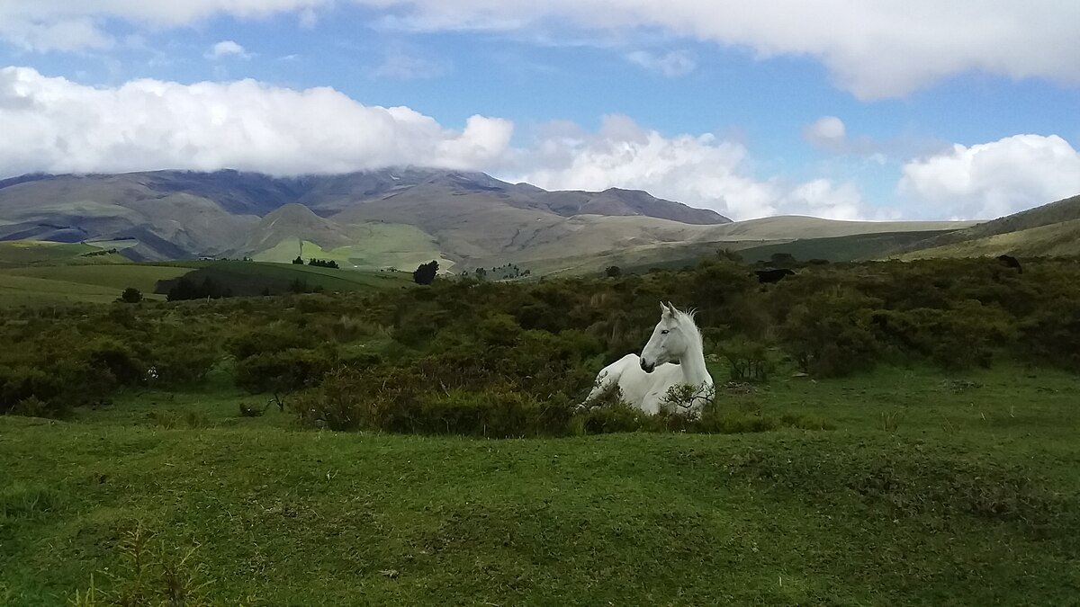 Cerro Ingacorral