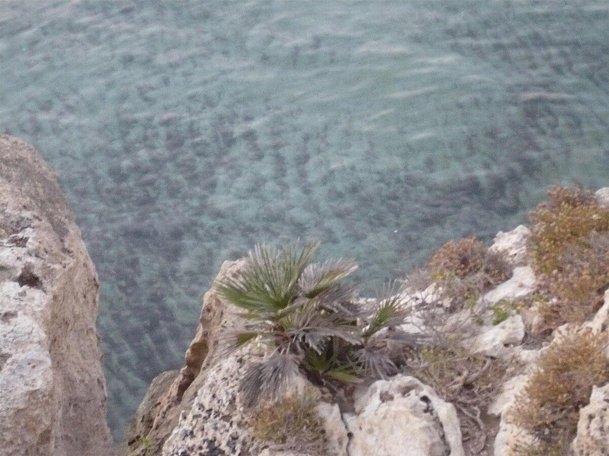 Cala Mosche
