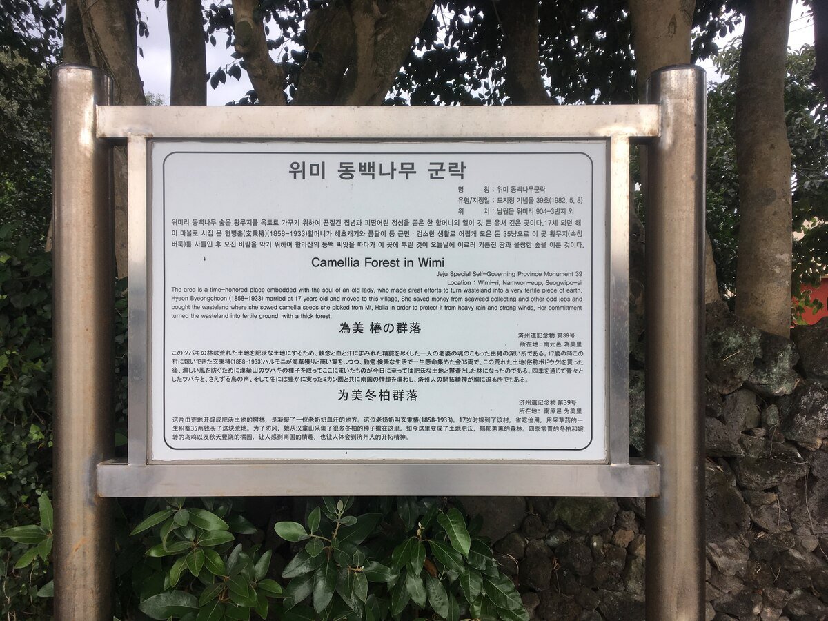 Saenggiroreum