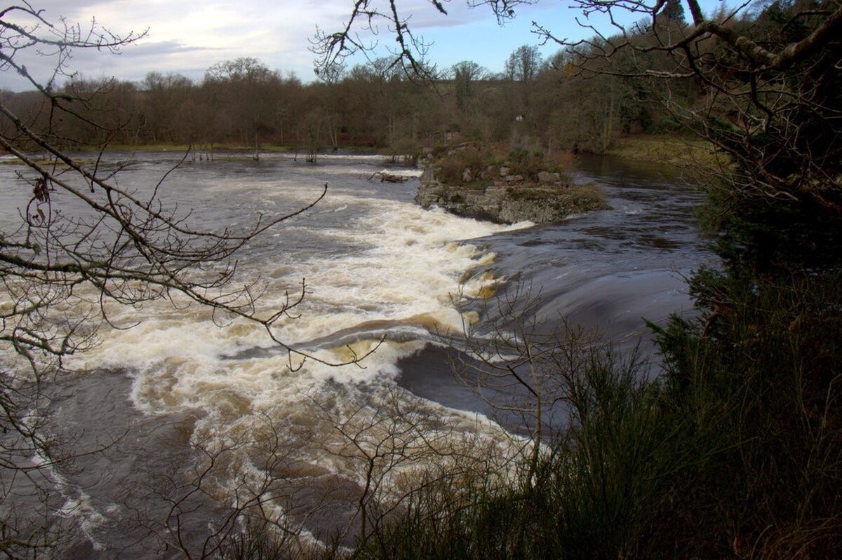Campsie Linn