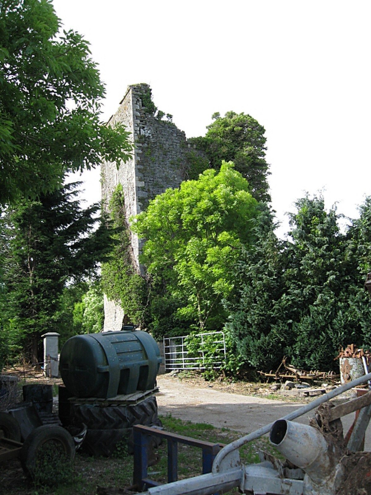 Ballynaboley Castle
