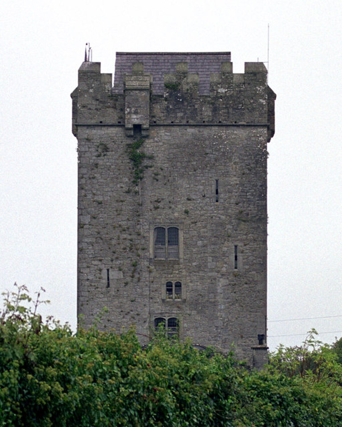 Ballyhannon Castle