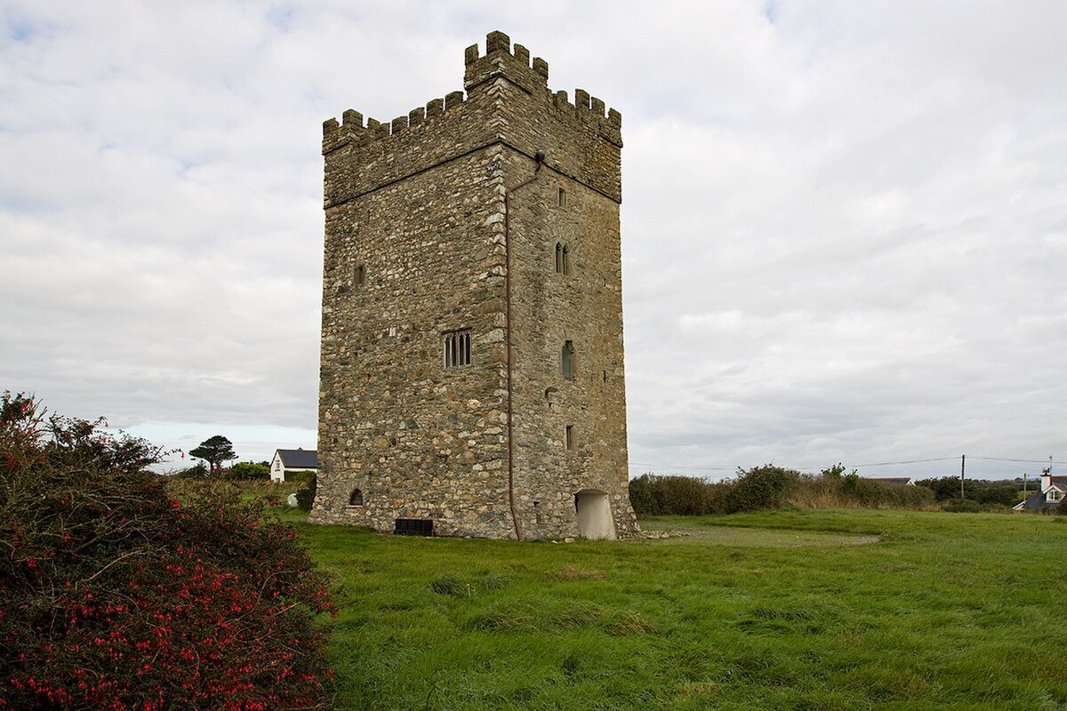 Ballyhealy Castle